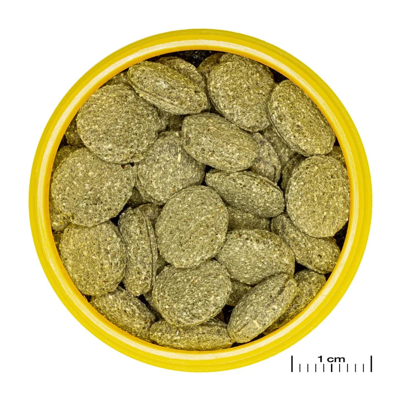 JBL - ProNovo Pleco Wafer M Compresse Di Mangime Per Loricaridi Erbivori Da 1-20cm In Acquari D'Acqua Dolce
