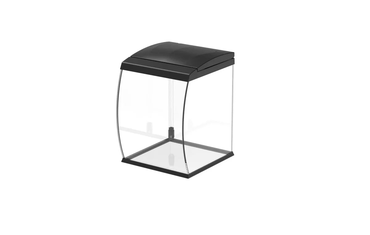 AQPet - CurVe – Acquario Panoramico in Vetro da Scrivania 35L