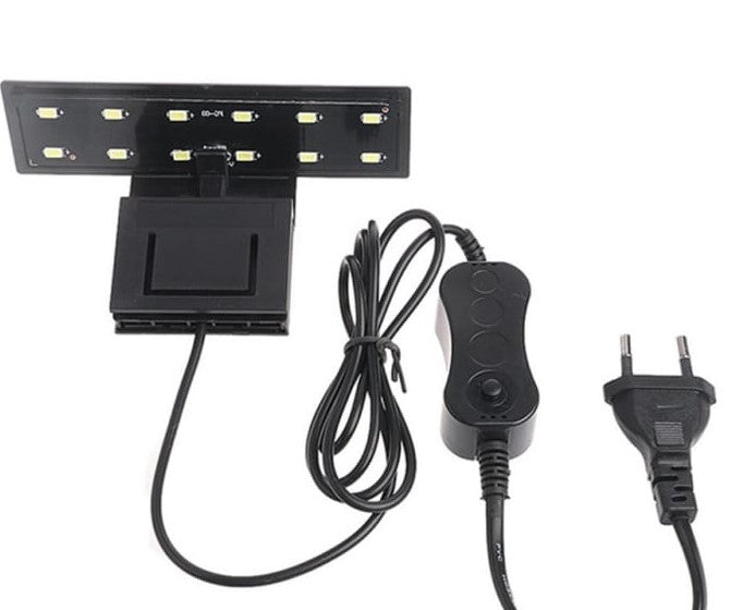 Plafoniere - Illuminazione