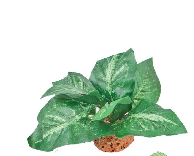 BluBios - Pianta Sintetica Dekor Oasi