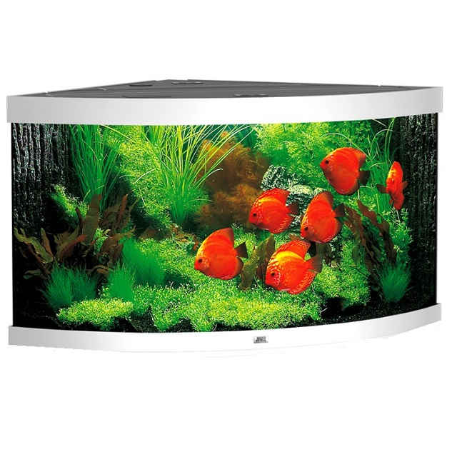 Juwel - PREVENDITA TRIGON 190 BIANCO