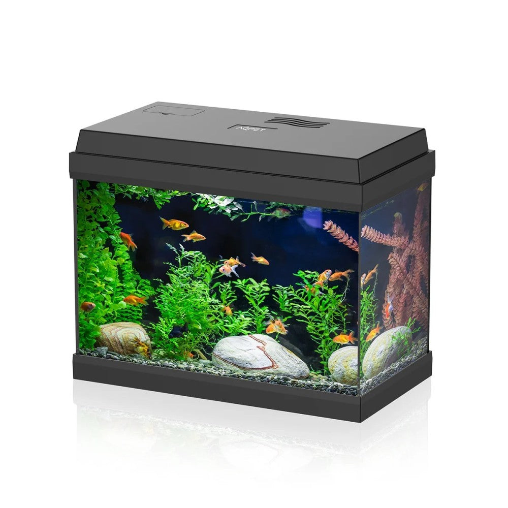 Aqpet - Simply LED 30 Acquario cm39x22x30h completo di filtro e illuminazione