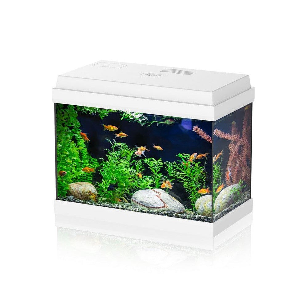 Aqpet - Simply LED 30 Acquario cm39x22x30h completo di filtro e illuminazione