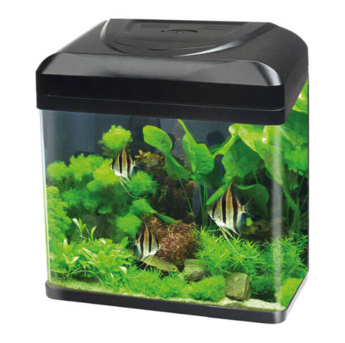 Acquari di piccole dimensioni