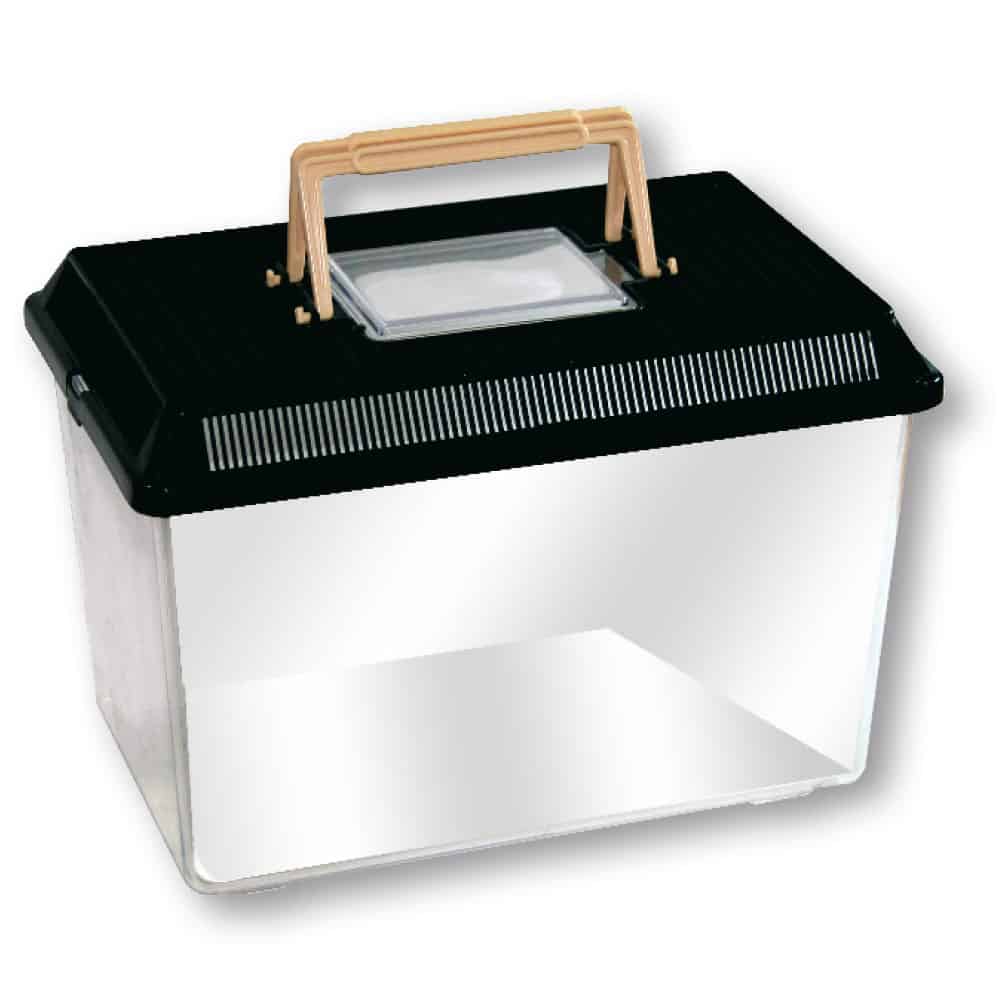 Amtra - BoxLife Trasportino In Plastica per Pesci e Piccoli Animali