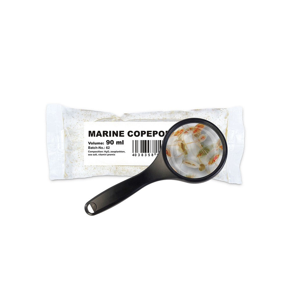 Cibo Vivo Marine Copepods 90ml - copepodi vivi per marino