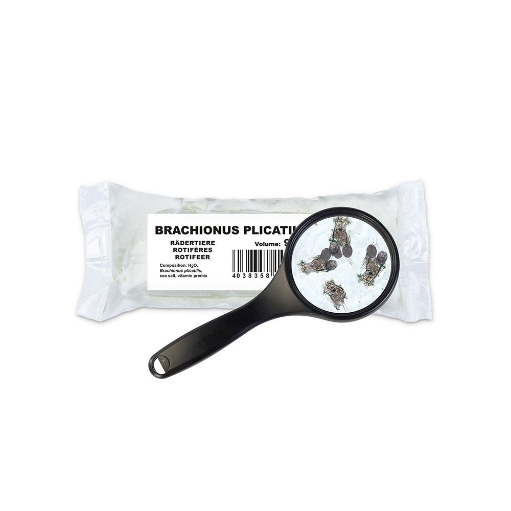 Cibo Vivo Rotifer confezione da 90ml - rotiferi vivi BRACHIONUS PLICATILIS