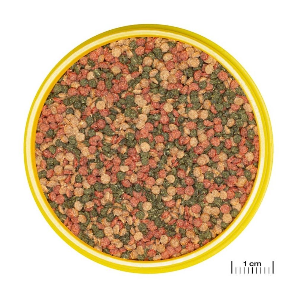 JBL - ProNovo Bel Grano M 250ml - Mangime base in granuli per tutti i pesci ornamentali da 8 a 20cm