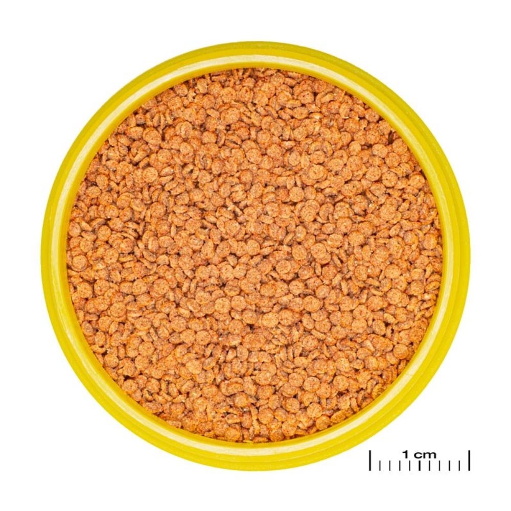 JBL - ProNovo Betta Grano S Click 100ml - granulato di base per Betta da 3 a 10cm