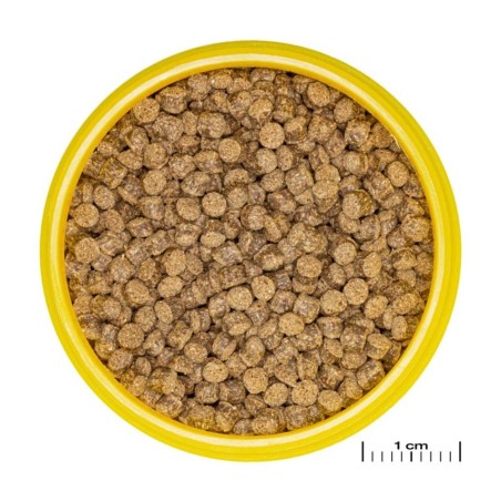 JBL - ProNovo Fantail Grano M - Mangime base in granuli per Veiltails e altre varietà di pesce rosso da 8 a 20cm