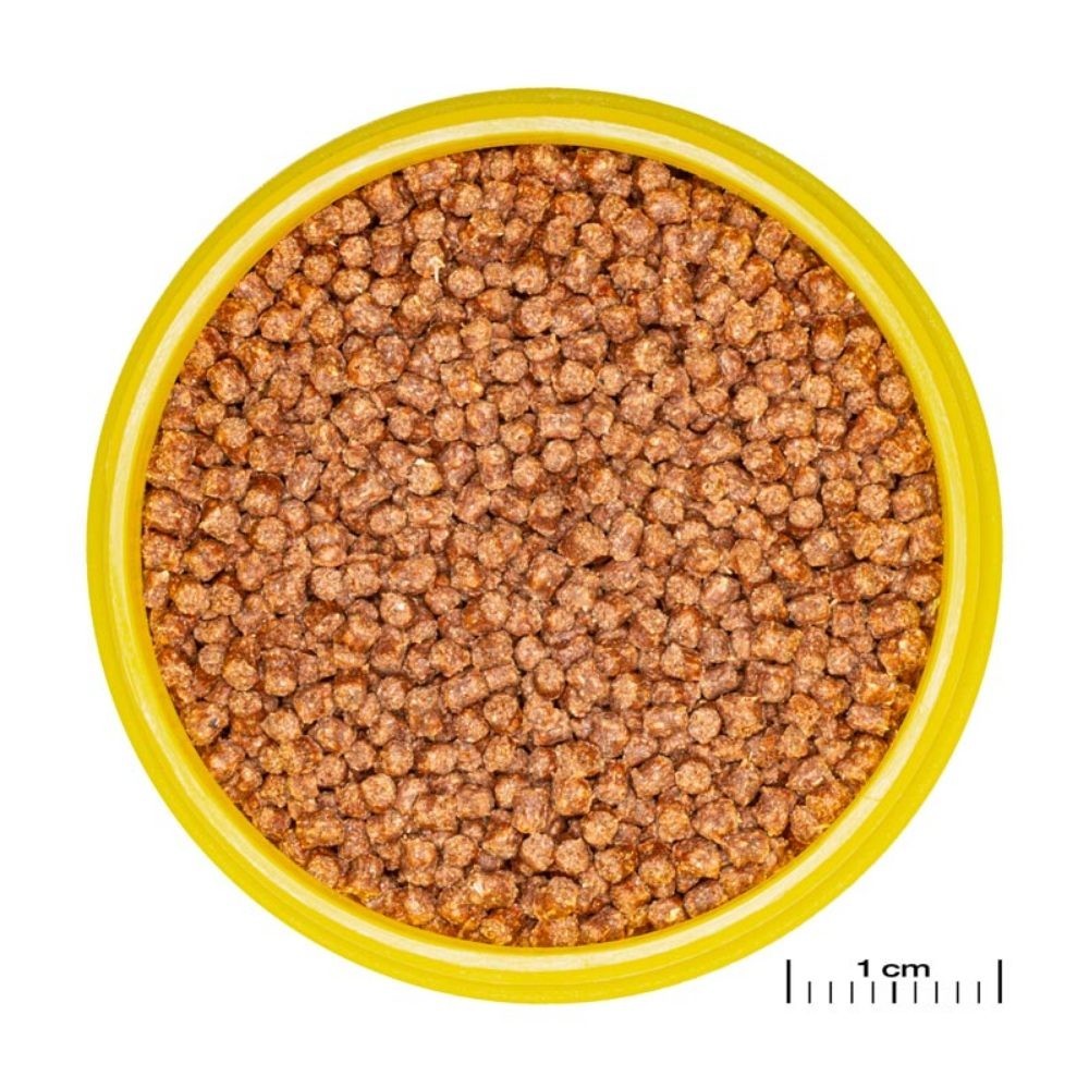 JBL - ProNovo Fantail Grano S 100ml - Mangime base in granuli per Veiltails e altre varietà di pesce rosso da 3 a 10cm