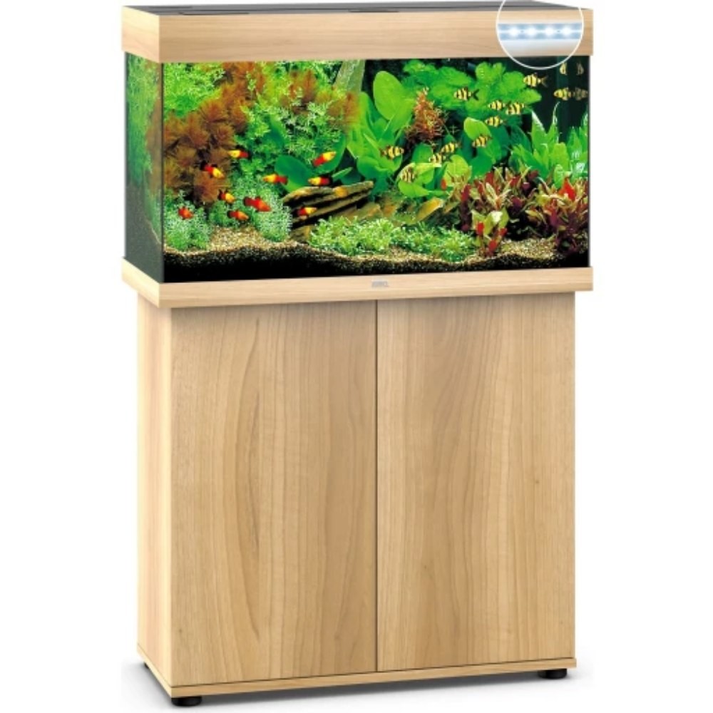 Juwel - PREVENDITA Rio 290 FAGGIO