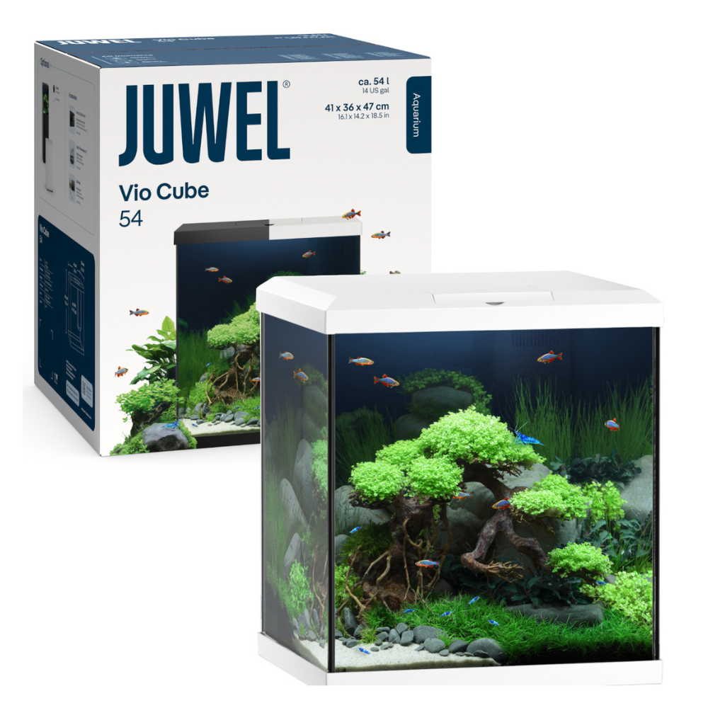 Juwel - Vio Cube 54 cm41x36x47h – Acquario completo 54 L