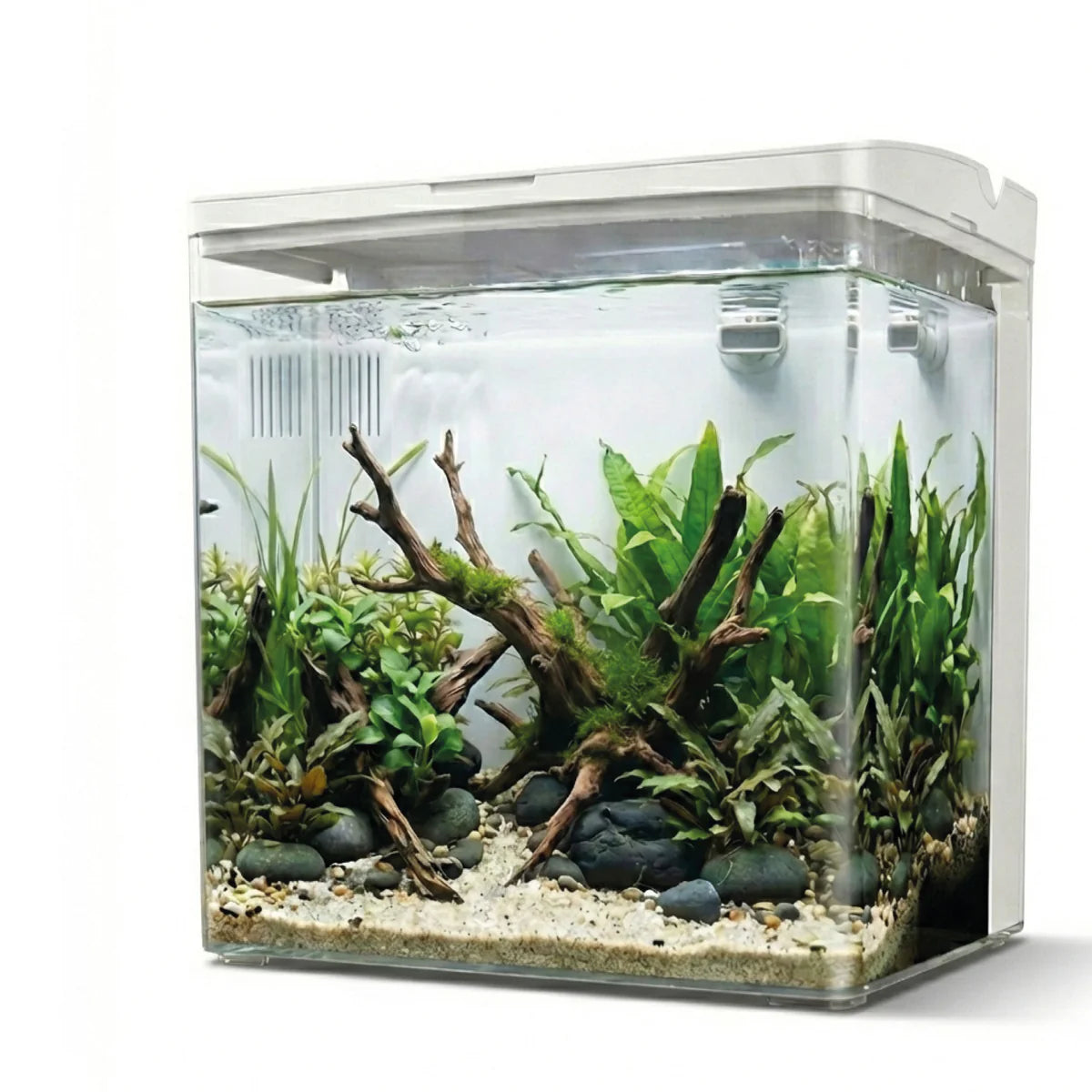 AQPet - Neya – Acquario da Scrivania 20x15x20 cm