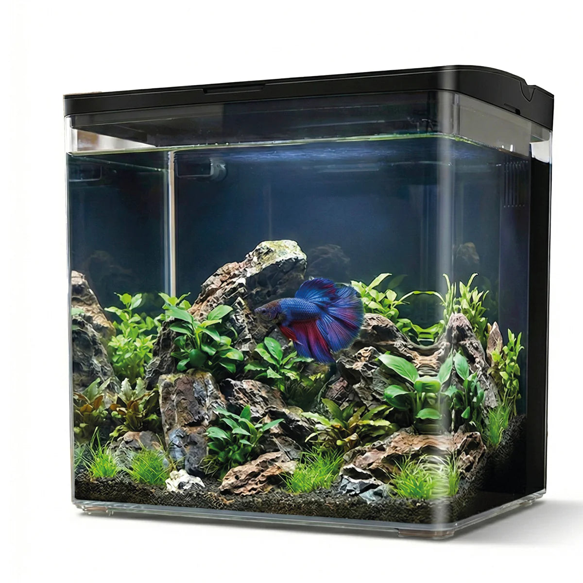 AQPet - Neya – Acquario da Scrivania 20x15x20 cm