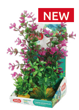 Zolux - Plant Kit Small Piante artificiali per acquari