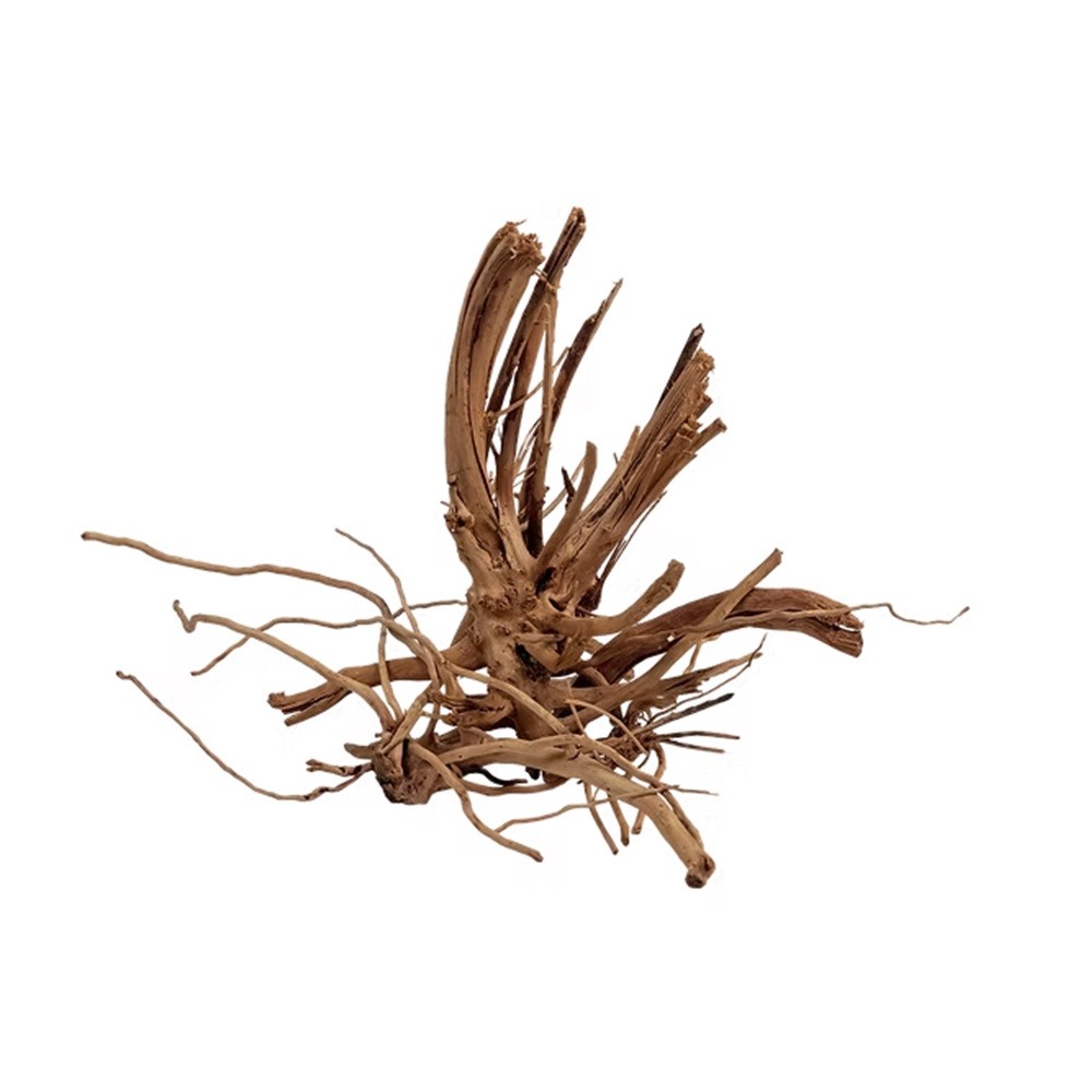 Kinzi Natunae - Legno Spider Wood Red Medio 30-40cm circa