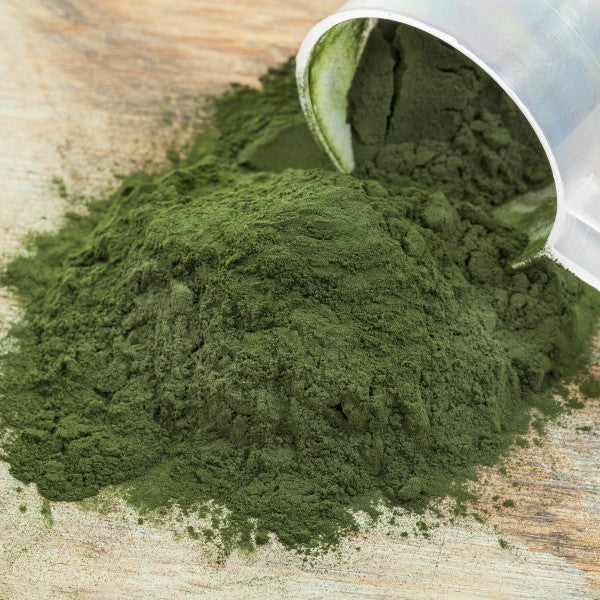 Drak - Aquaristk Spirulina In Polvere 50gr