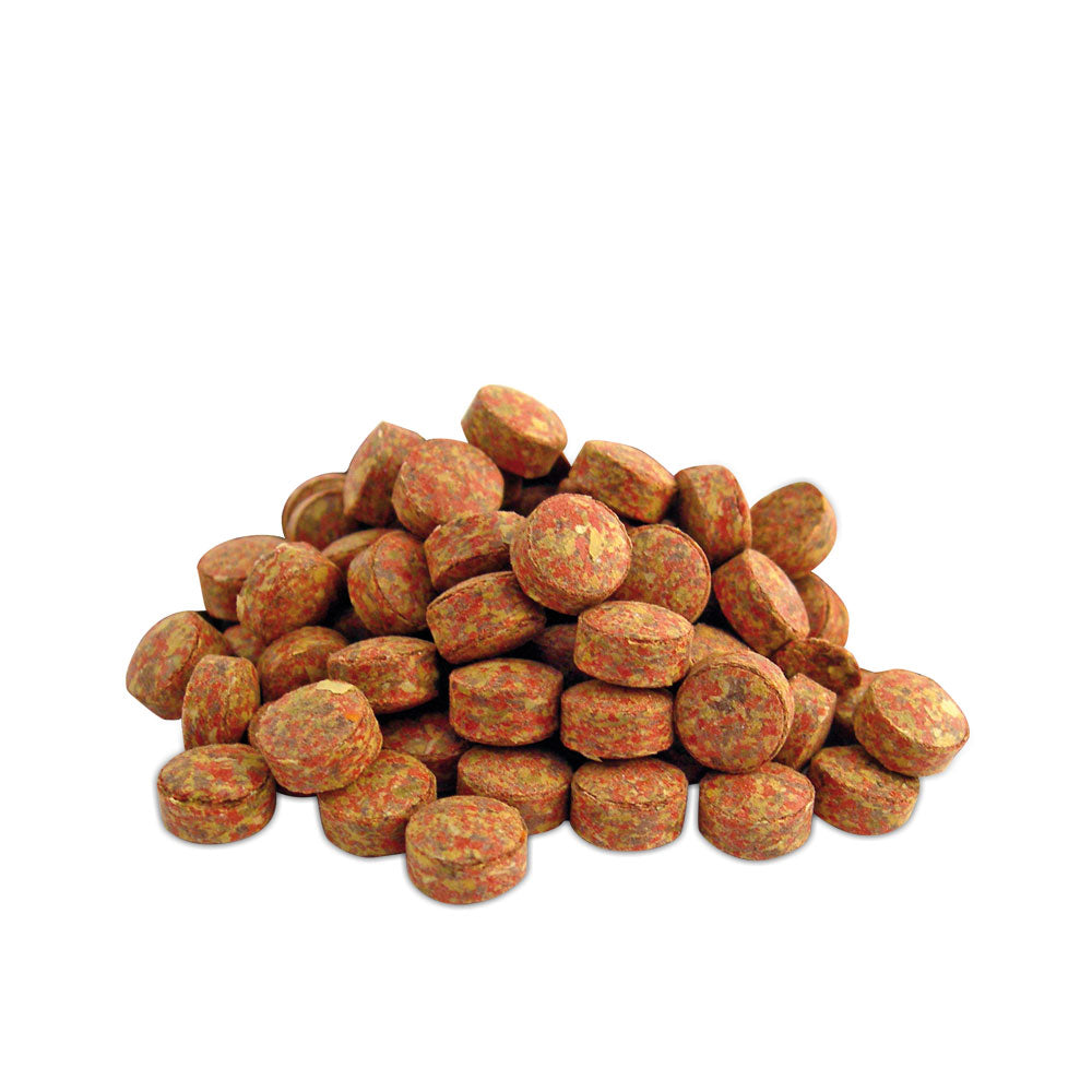 Prodac - Tablet Alimento in Compresse per Pesci da Fondo con Esigenze di Alimentazione Carnivora