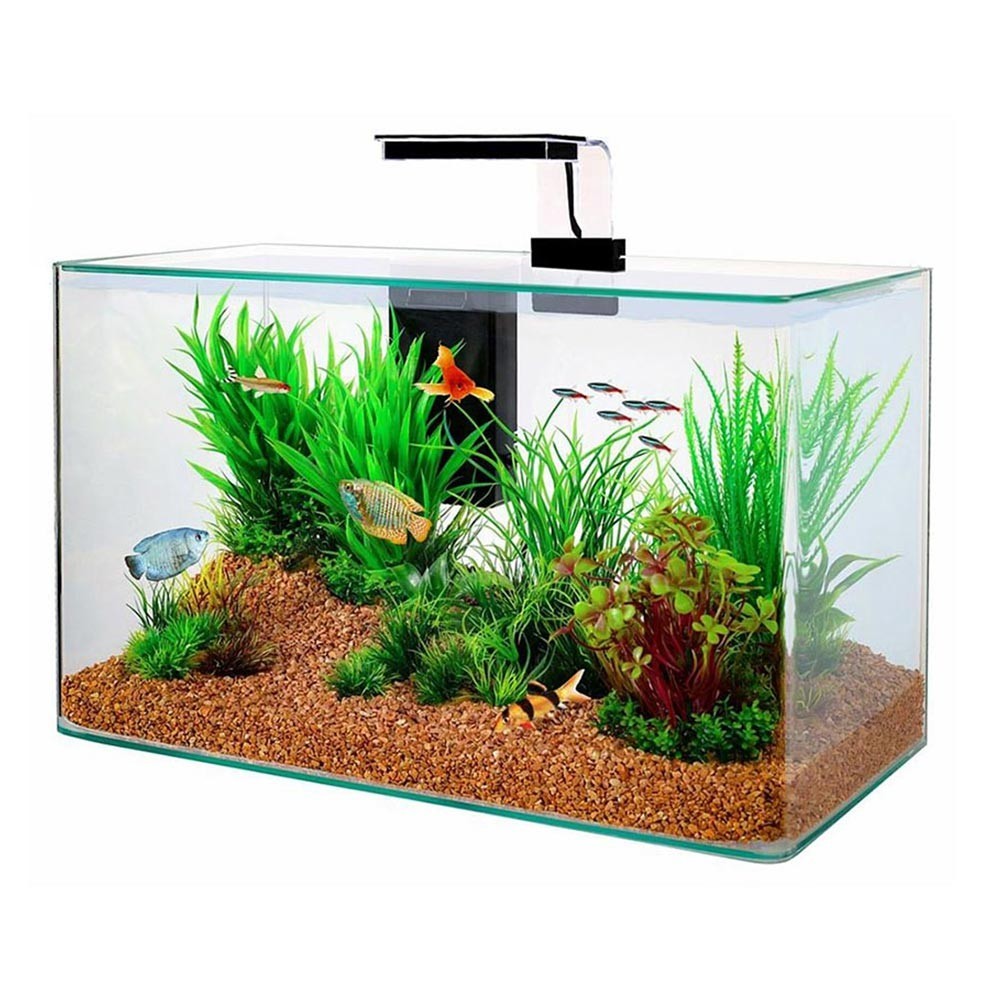 Zolux - Clear 40 - acquario 17L cm40x20x25h con filtro interno e plafoniera LED