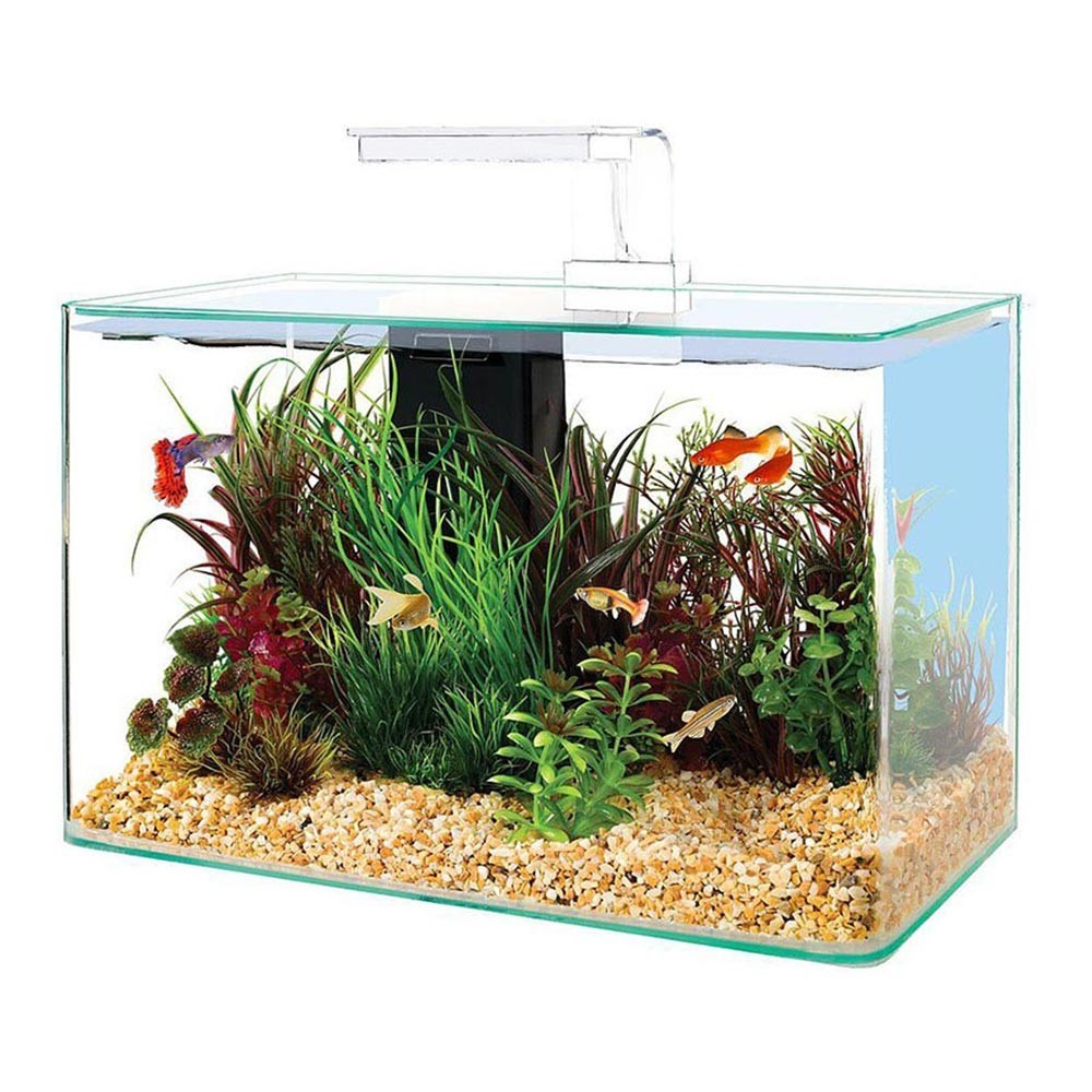 Zolux - Clear 40 - acquario 17L cm40x20x25h con filtro interno e plafoniera LED