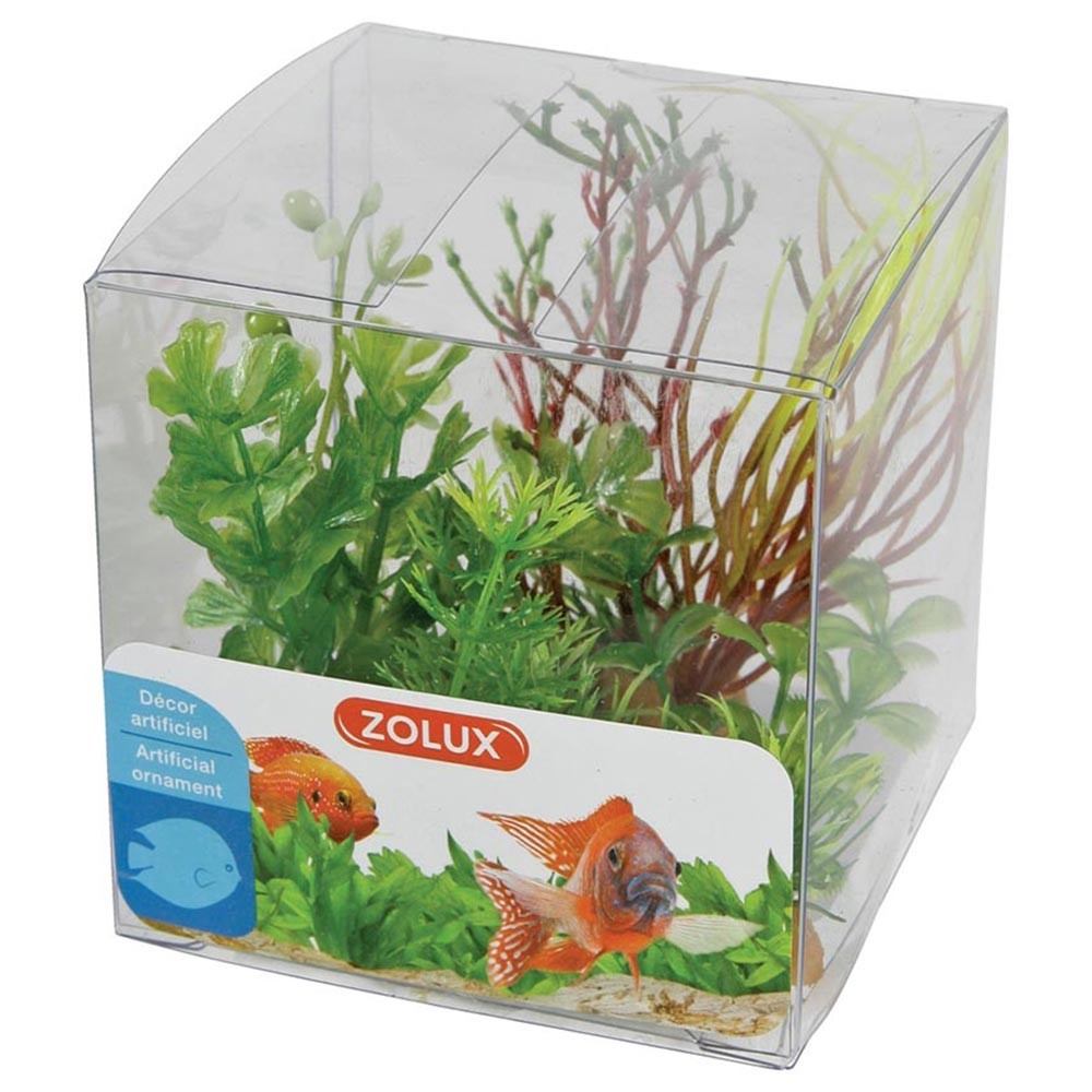 Zolux - Decor Plant Box 4pz kit 2 - mix di 4 piante artificiali