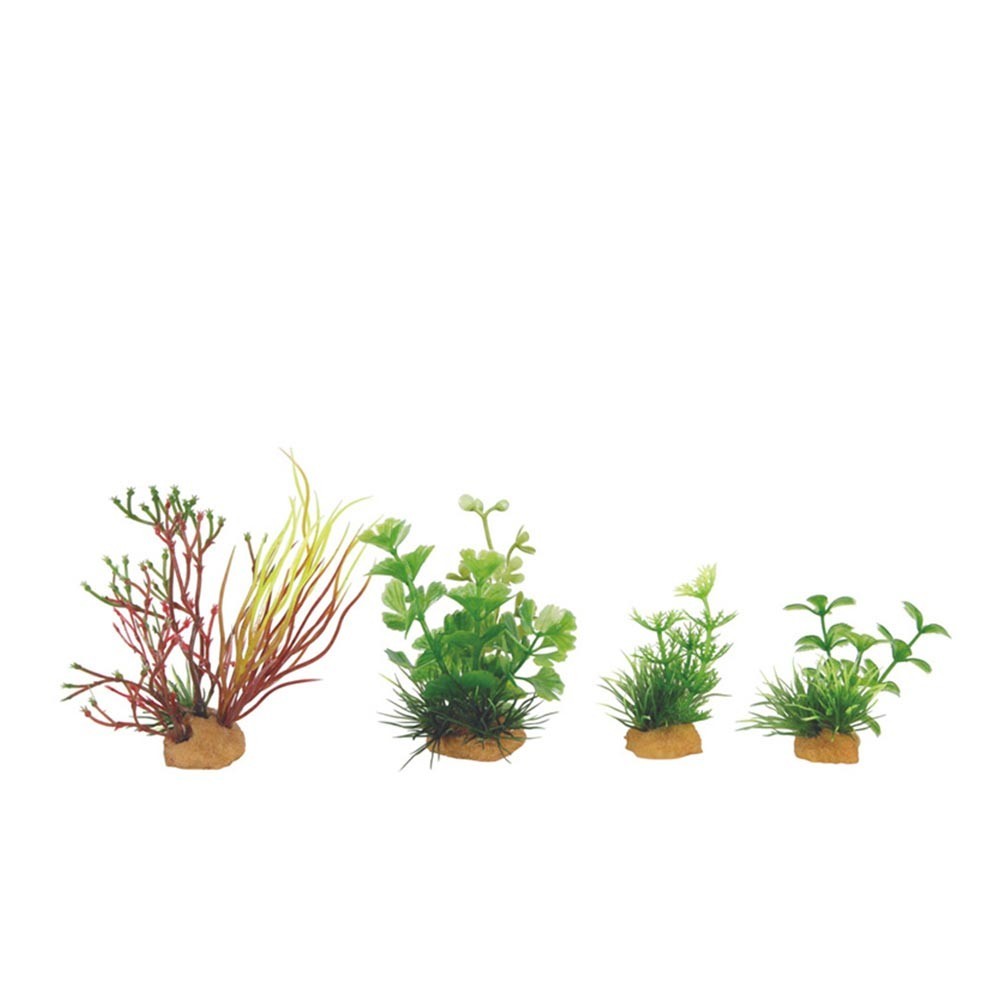 Zolux - Decor Plant Box 4pz kit 2 - mix di 4 piante artificiali