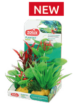 Zolux - Plantkit essential Small n.06