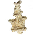 Aquaroche - Rocce Filtranti e Decorative Marine