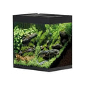 Oase - PREVENDITA StyleLine 85 Acquario 75L NERO