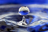 Acqua Salata Ritiro In Negozio