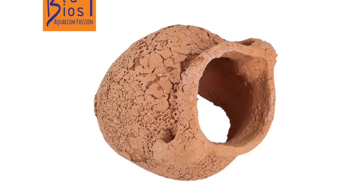 BluBios - Anfora Anticata XXL - Decorazione