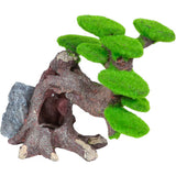 Zolux - Arbre Zenatura Albero Bonsai