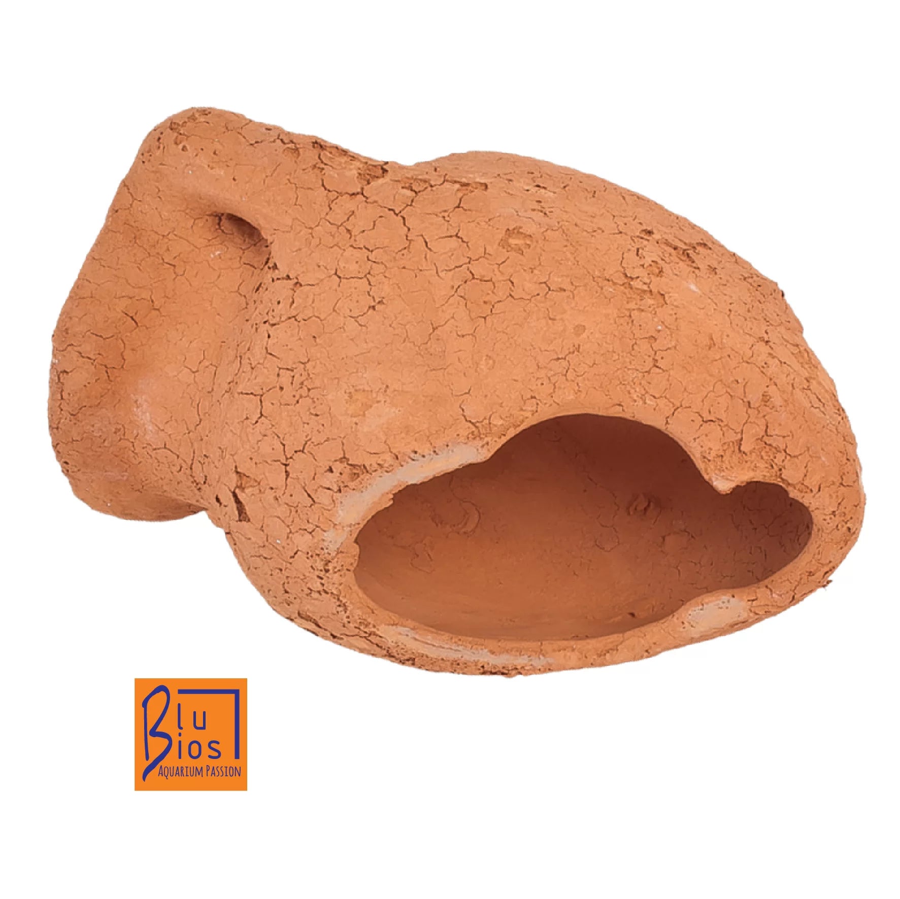 BluBios - Anfora Anticata XXL - Decorazione