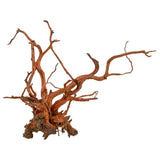 Amtra - Legno Red Spider King