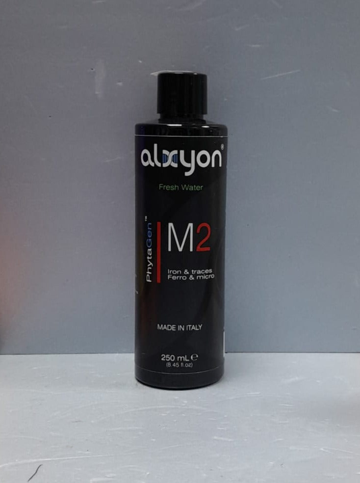 Alxyon M2