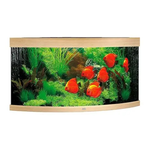 Juwel - PREVENDITA TRIGON 190 FAGGIO