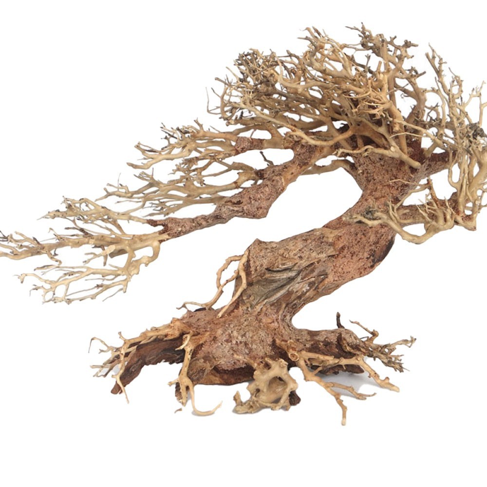 Amtra - Legno Oriental Wind 3 Medium cm30x13x23h Amtra Legno Oriental Wind 3 Medium cm30x13x23h