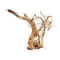 Amtra - Dragon Skin MD Legno Ramificato per aquascaping