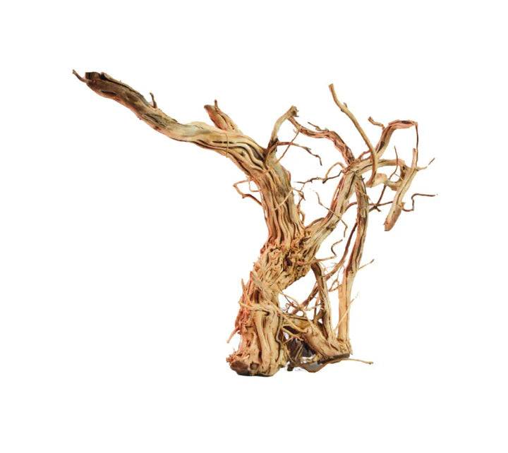 Amtra - Dragon Skin MD Legno Ramificato per aquascaping