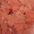Artemia Flake mangime sfuso