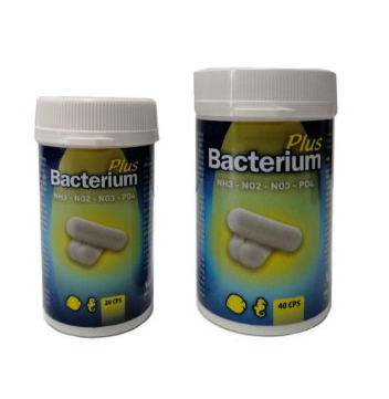 Bacterium E Plus Aquili - Attivatore biologico