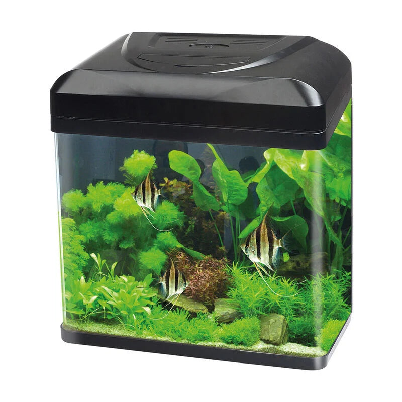 BluBios - Acquario Billy 16 lt nero 30x23.5x34.5