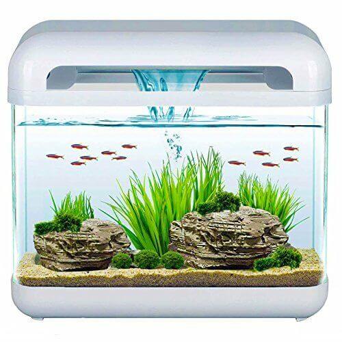 BluBios - Derby Acquario 15 litri completo Dimensione: 40 x 16 x 37 cm