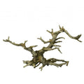 BluBios - Grey Wood Legno Grigio ramificato Decorazione In Resina