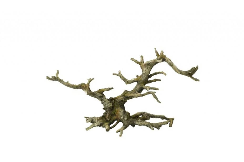 BluBios - Grey Wood Legno Grigio ramificato Decorazione In Resina