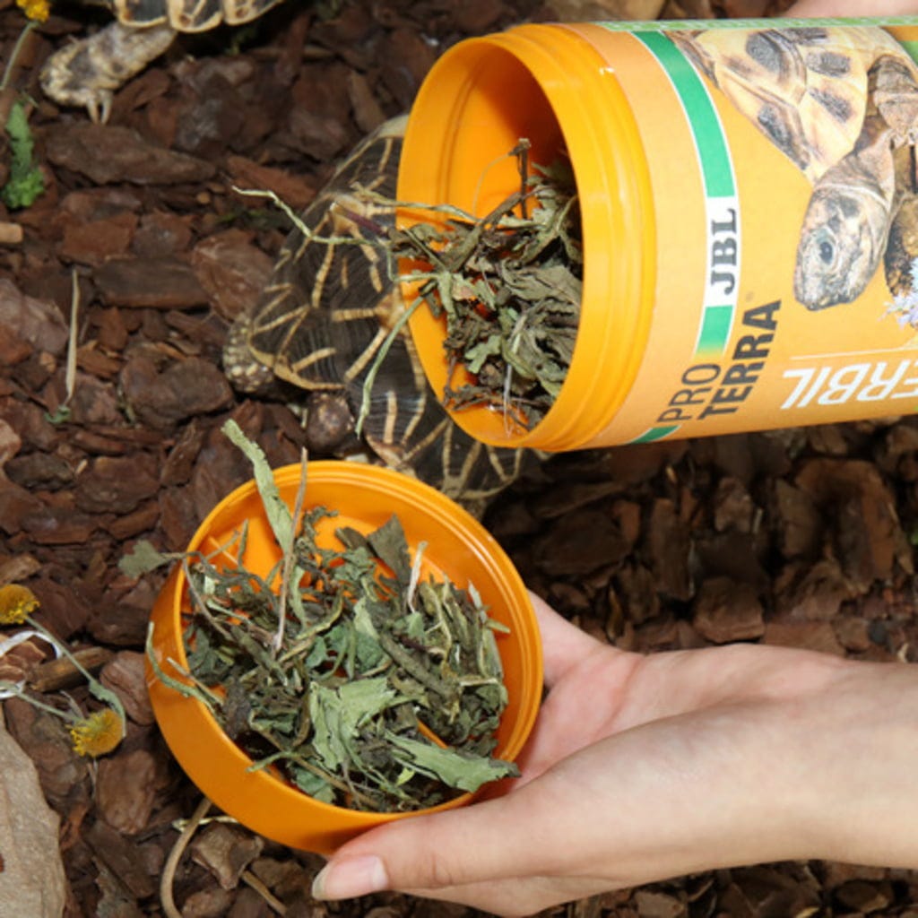 JBL - ProTerra Herbill 250ml alimento complementare per tartarughe terrestri a base di erbe