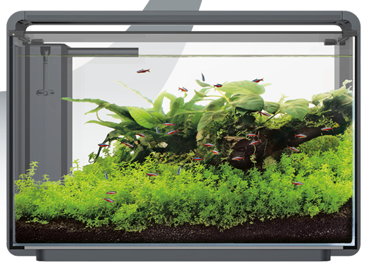 SuperFish - Home 30 ProLED Aquarium - Acquario completo 25l