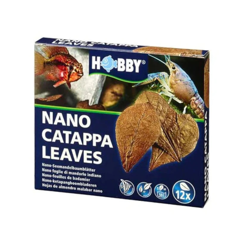 Hobby - Nano Catappa Leaves