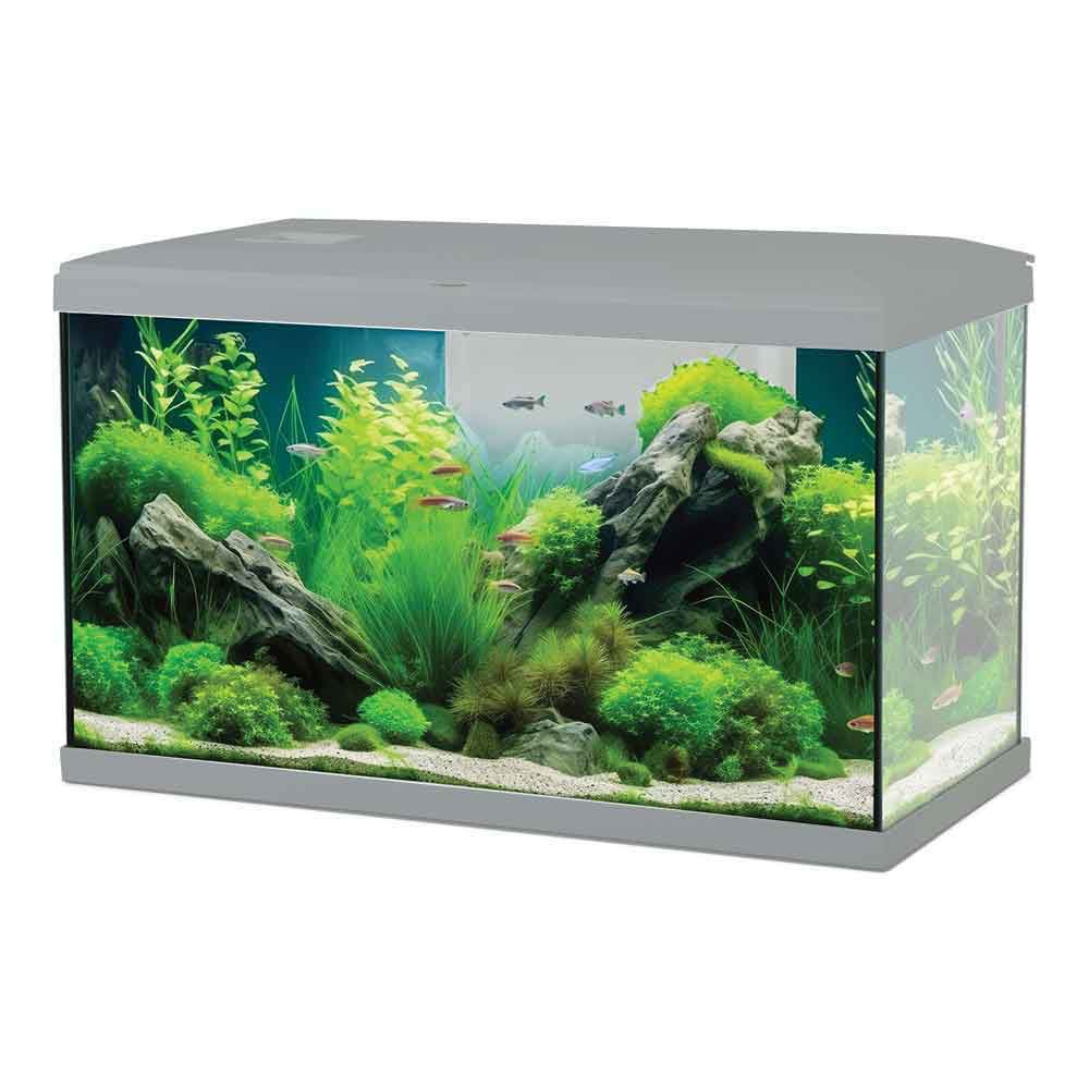 Zolux - Acquario Tana 60 Completo 63 Litri 60x30x35h cm
